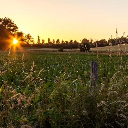 Les Nuits Safranees Bed and Breakfast Morannes sur Sarthe-Daumeray