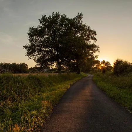 Les Nuits Safranees * Morannes sur Sarthe-Daumeray