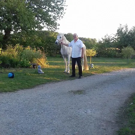Les Nuits Safranees Morannes sur Sarthe-Daumeray