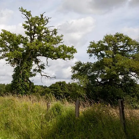 Bed and Breakfast Les Nuits Safranees *